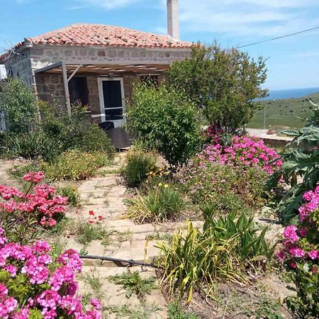 Cozy House With Amazing Sea View Apartamento Kaminia  Exterior foto