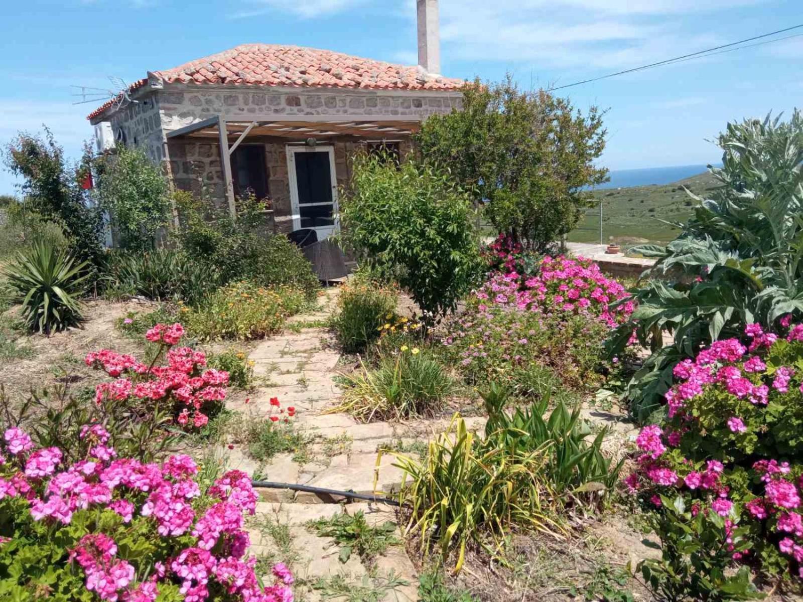 Cozy House With Amazing Sea View Apartamento Kaminia  Exterior foto